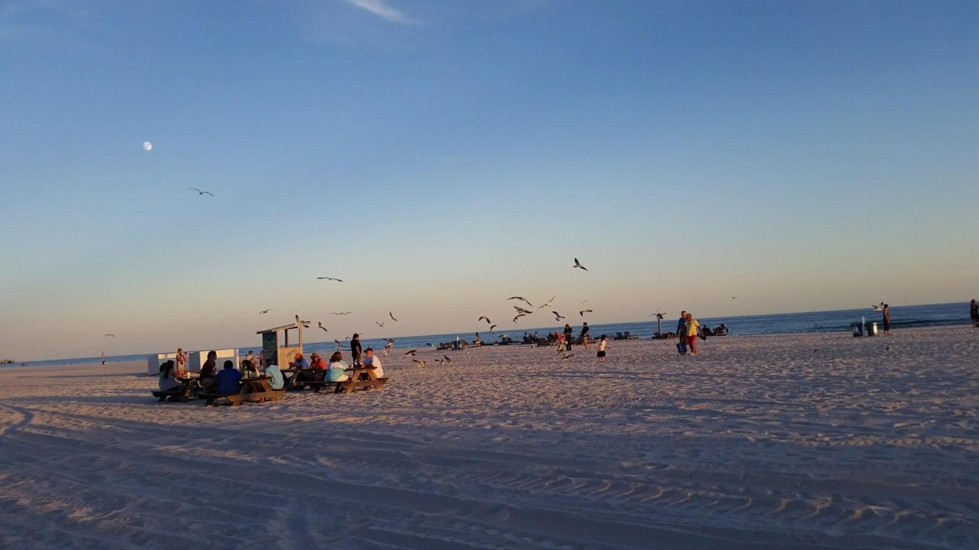 A Wave From It All Beach Resort Gulf Shores Eksteriør bilde